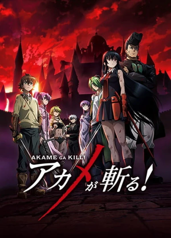 Akame ga Kill! Waifu and Aesthetic Wallpapers 4K