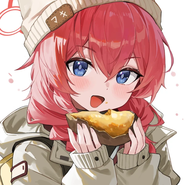 Twin Braids waifu aesthetic tag