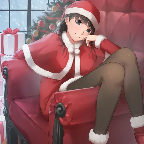 Santa Dress