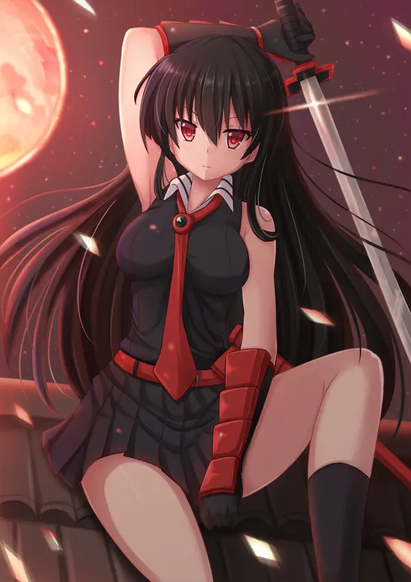 Akame's Night Raid: Killer Wallpaper by kazenokaze #949
