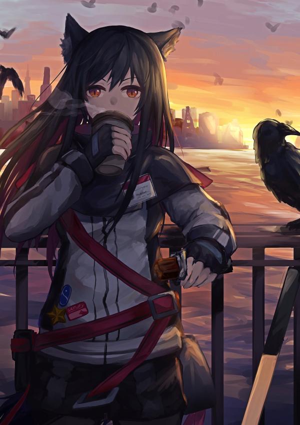 Texas Wolf Ears Sunset Candy QHD Portrait #1336